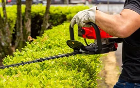 Cortasetos Toyama Color