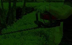 Cortasetos Toyama verde