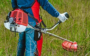 Desbrozadora Toyama Color