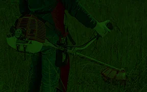 Desbrozadora Toyama verde