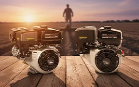 Motores Toyama Color