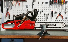 SERVICIOS – Asistencia Ténica Color