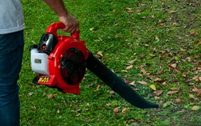 Sopladora Toyama Color