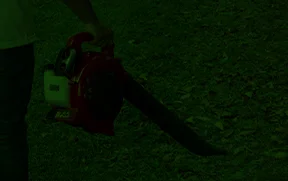 Sopladora Toyama verde